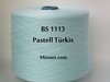BS 1113 Pastell Türkis 14,96 €/kg 